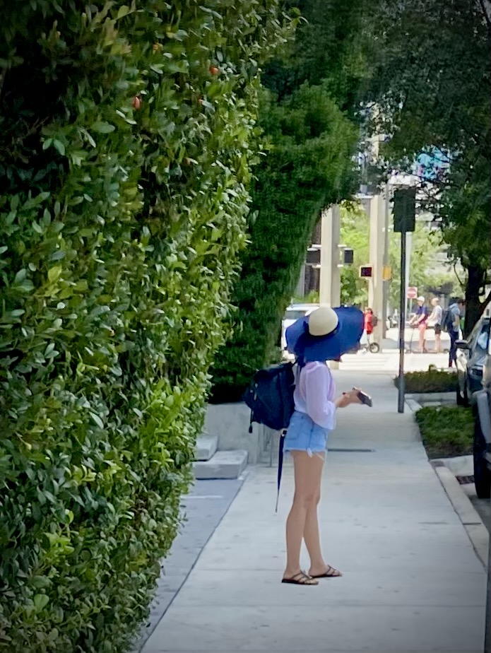 Sandals Worth Buying Before You Land: Miami Footwear That Actually Works